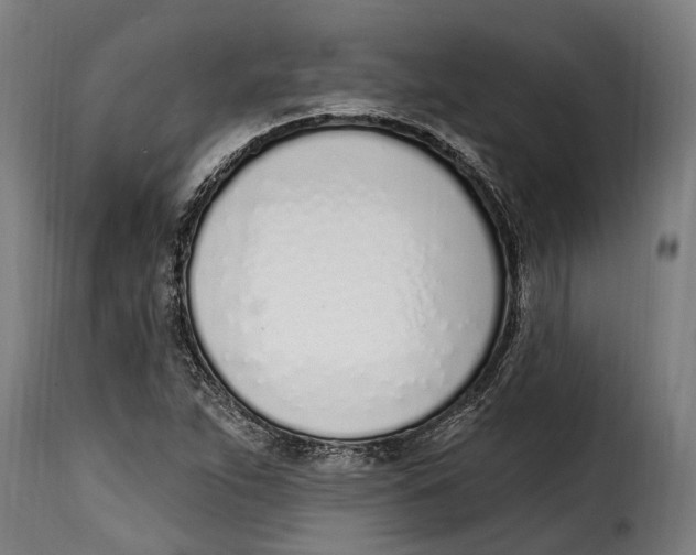 X0000115011263200911231219