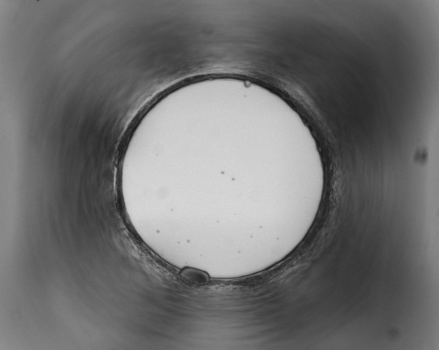 X0000115011268200911231219