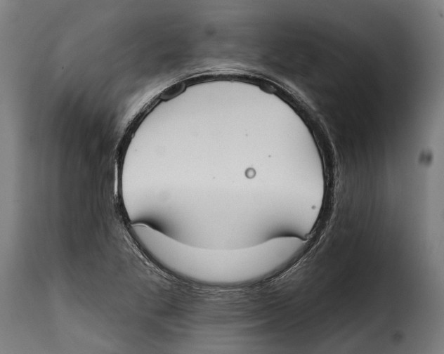 X0000115011269200911231219