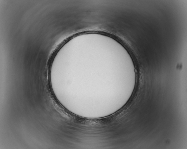 X0000115011270200911231219