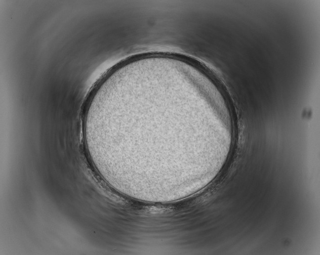 X0000115011271200911231219