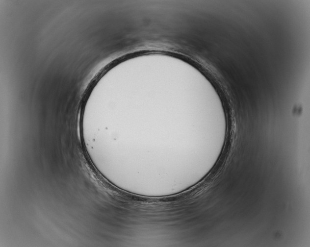 X0000115011272200911231219
