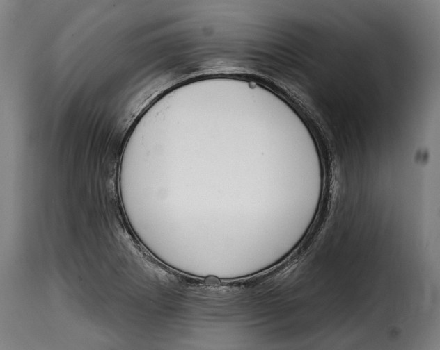 X0000115011273200911231219