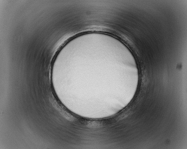 X0000115011275200911231219