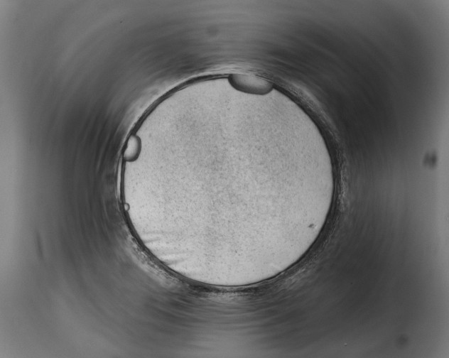 X0000115011276200911231219