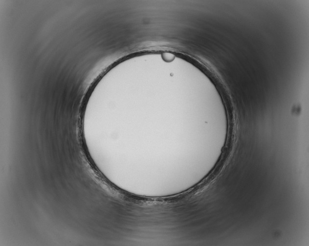 X0000115011277200911231219