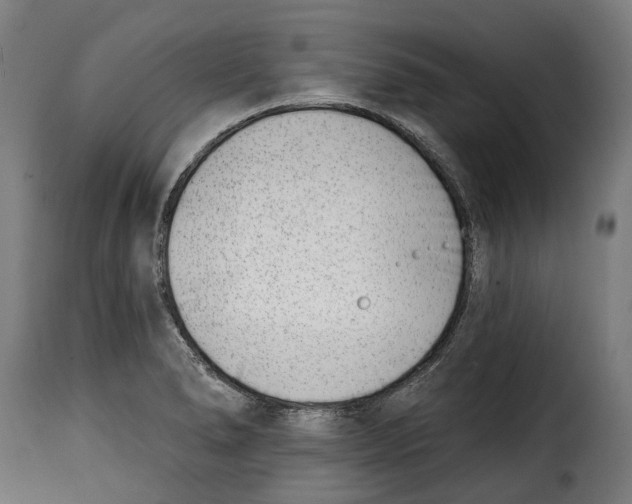 X0000115011278200911231219