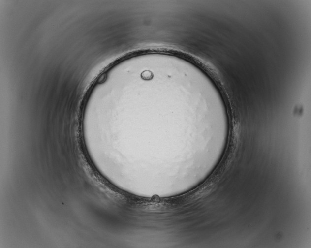 X0000115011279200911231219