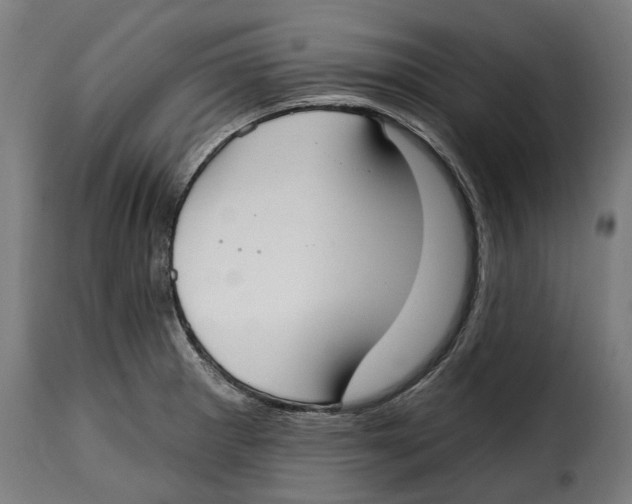 X0000115011281200911231219