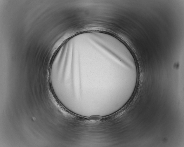 X0000115011282200911231219