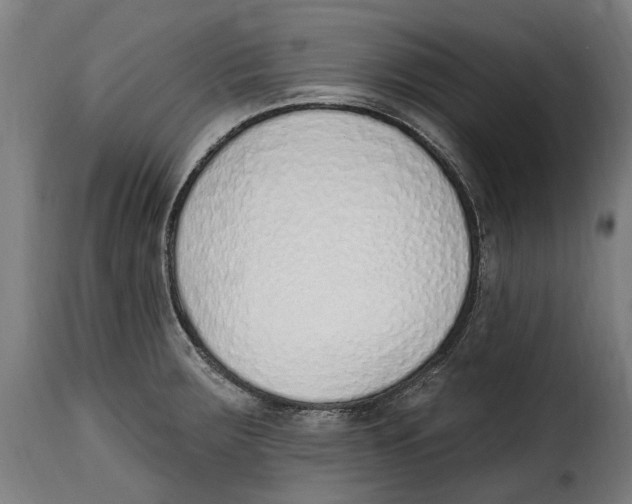 X0000115011283200911231219