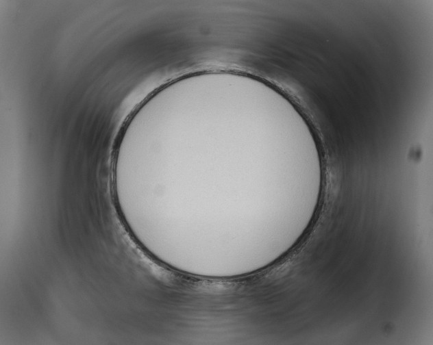 X0000115011286200911231219