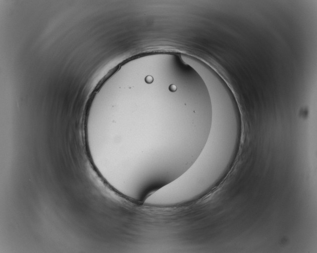 X0000115011293200911231218