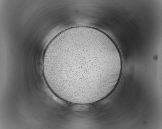 X0000115011294200911231218
