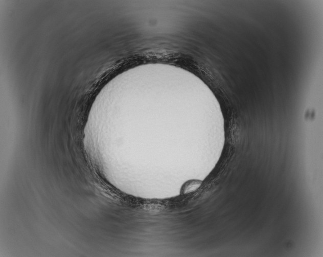 X0000115011297200911231218