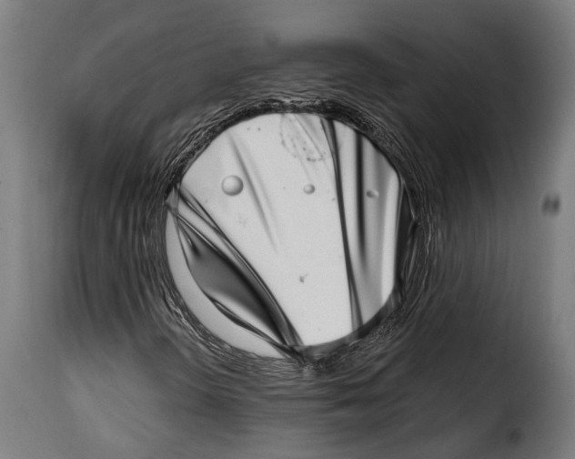 X0000115011298200911231218