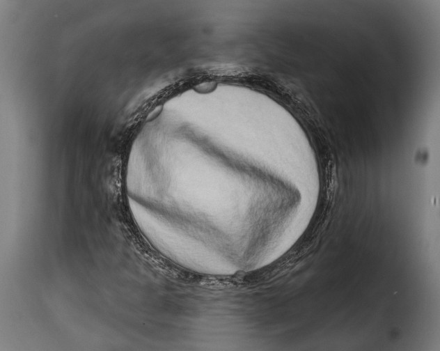 X0000115011301200911231218