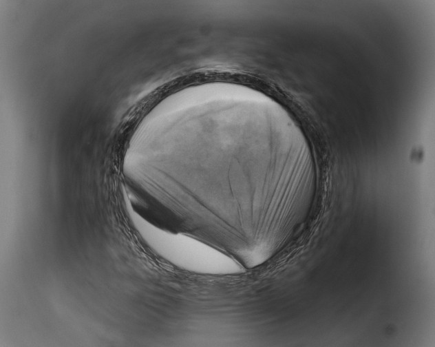 X0000115011303200911231218
