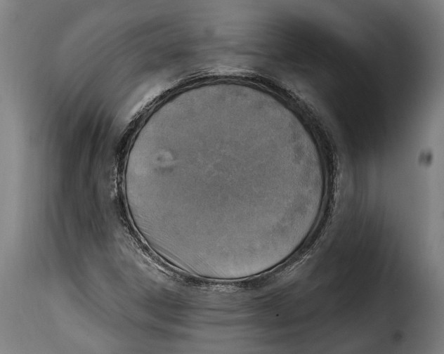 X0000115011306200911231218
