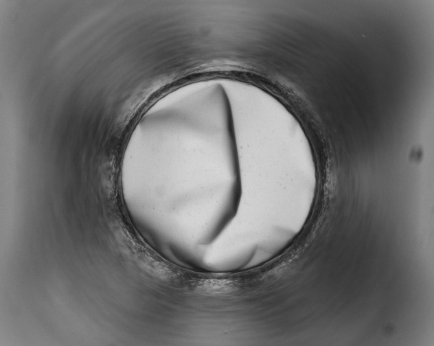 X0000115011313200911231218