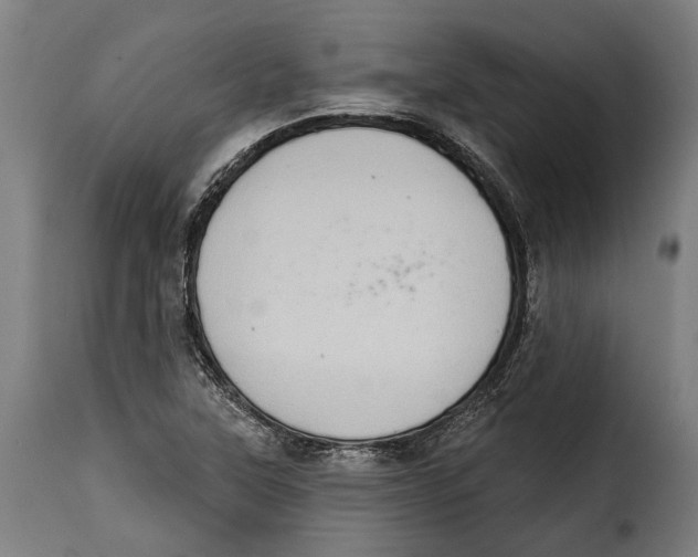 X0000115011315200911231218