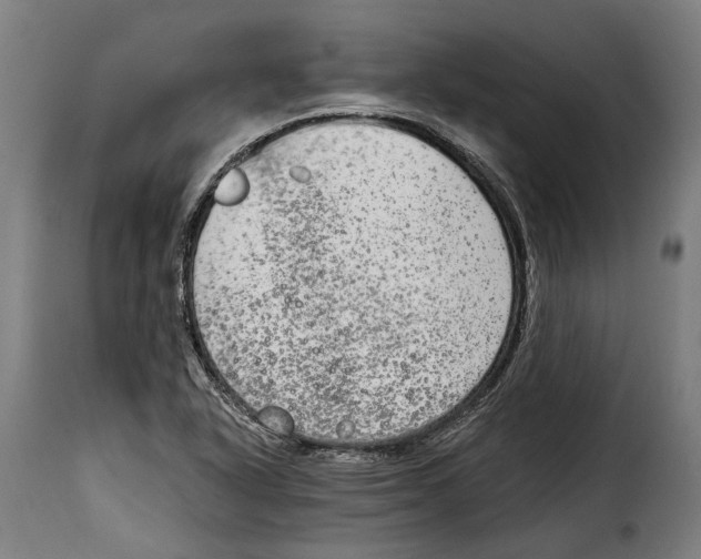 X0000115011318200911231218