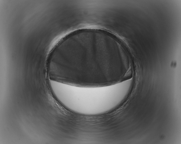 X0000115011319200911231218