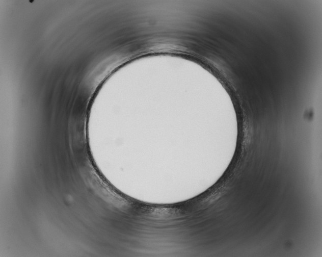 X0000115011322200911231218