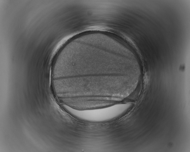 X0000115011323200911231218