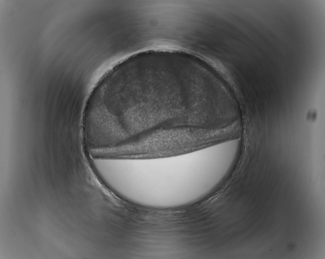 X0000115011327200911231218