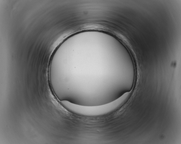 X0000115011330200911231218