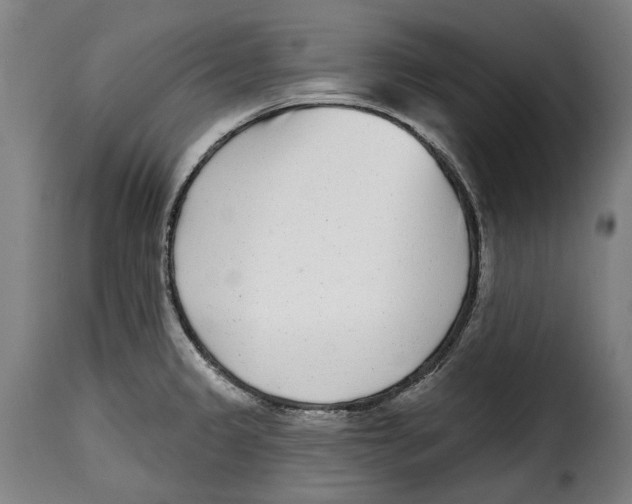 X0000115011333200911231218