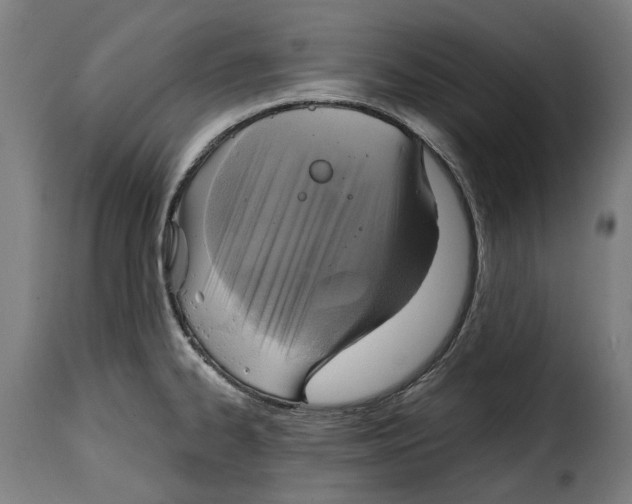 X0000115011334200911231218