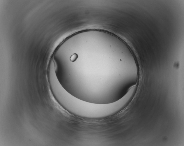 X0000115011342200911231218