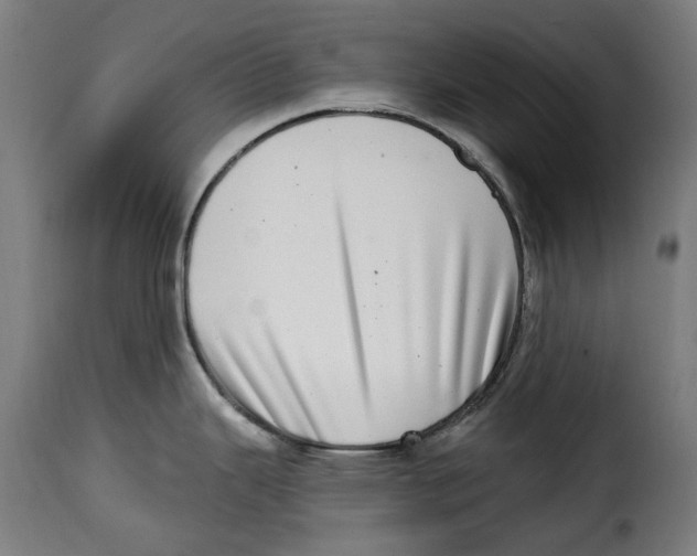 X0000115011343200911231218