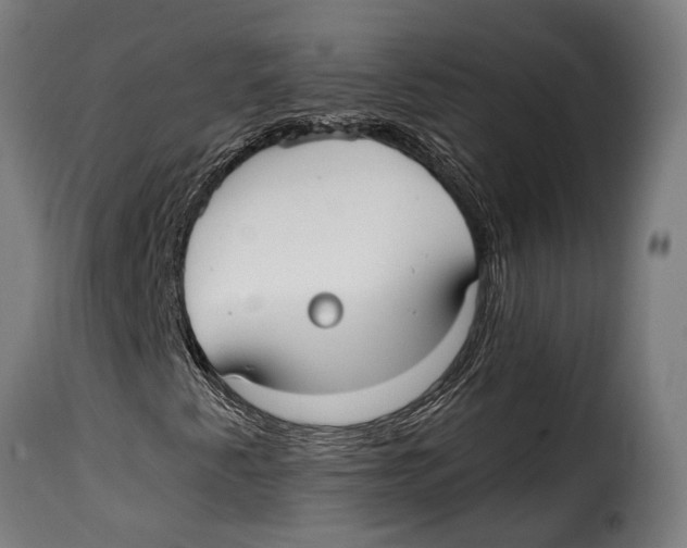 X0000115011345200911231218