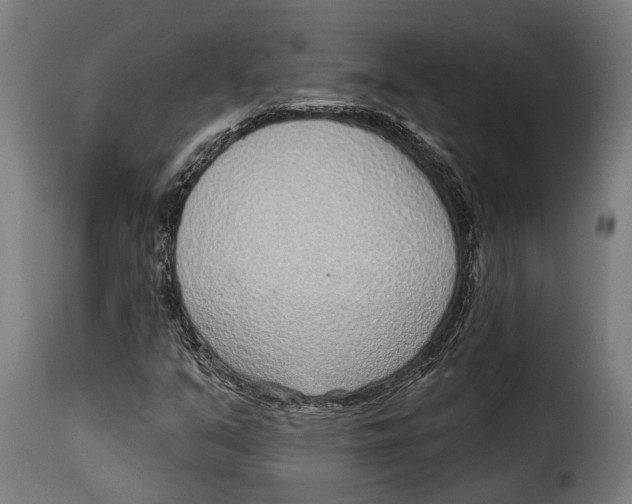X0000115011351200911231218