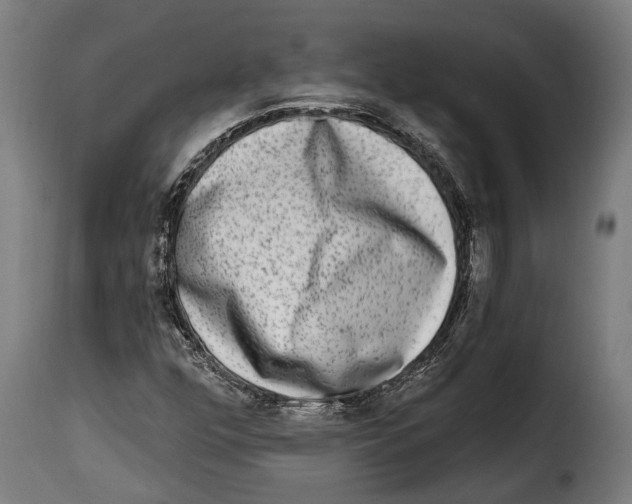 X0000115011352200911231218