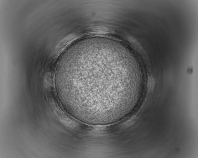 X0000115011353200911231218