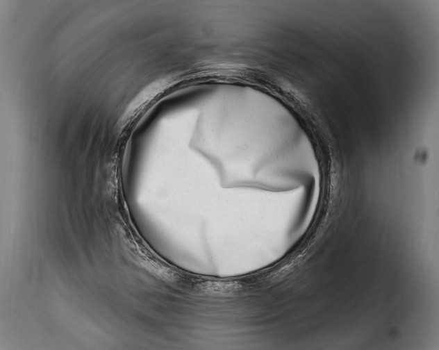 X0000115011354200911231218