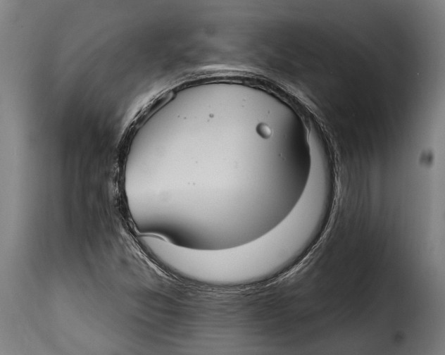 X0000115011357200911231218