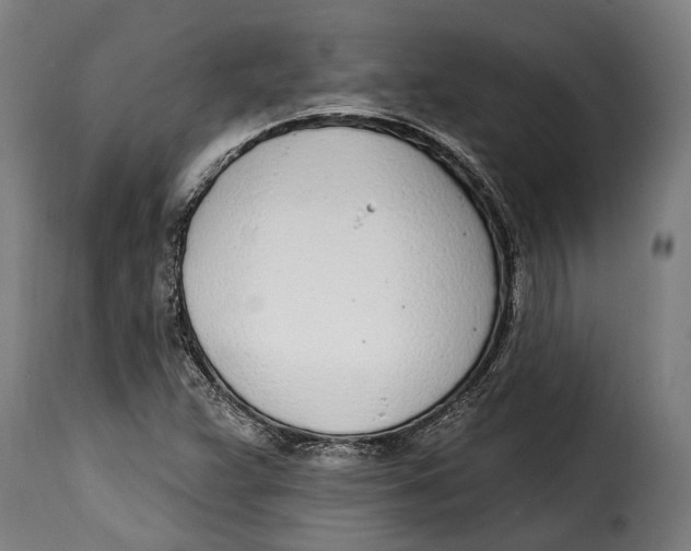 X0000115011359200911231218