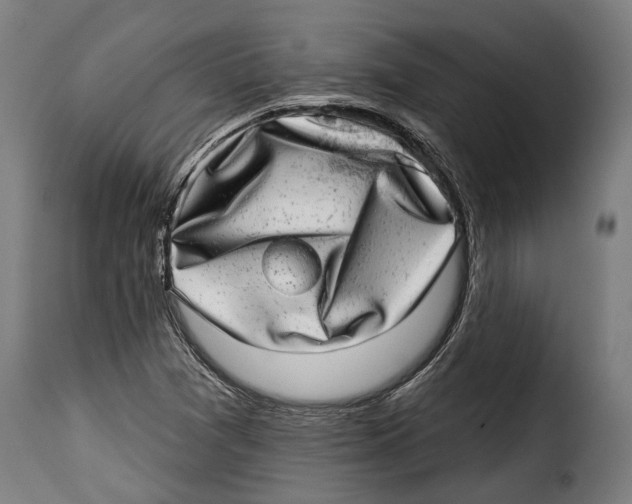 X0000115011361200911231217