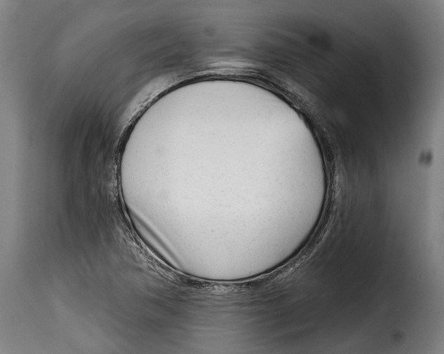 X0000115011362200911231217