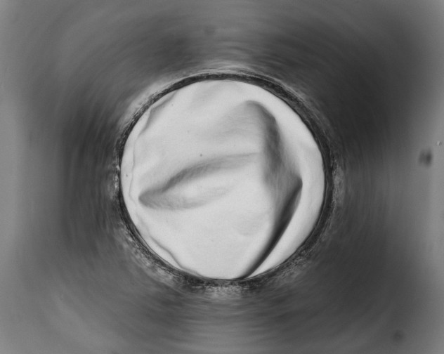 X0000115011363200911231217