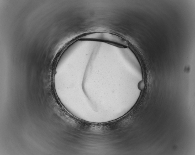 X0000115011364200911231217