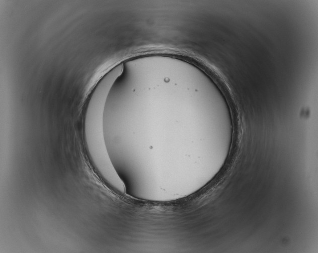 X0000115011365200911231217