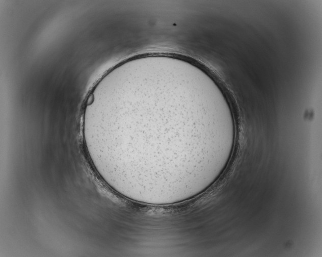 X0000115011366200911231217
