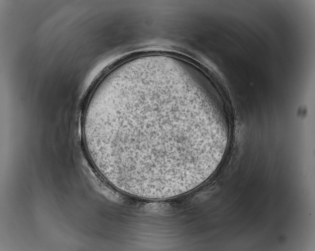 X0000115011368200911231217