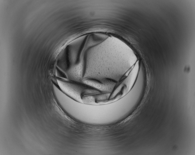 X0000115011369200911231217